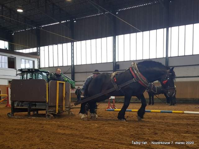 NNIII_Oidipus_pri_tazkom_tahu